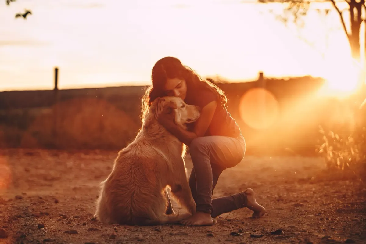Une femme serre son golden retriever au coucher du soleil
