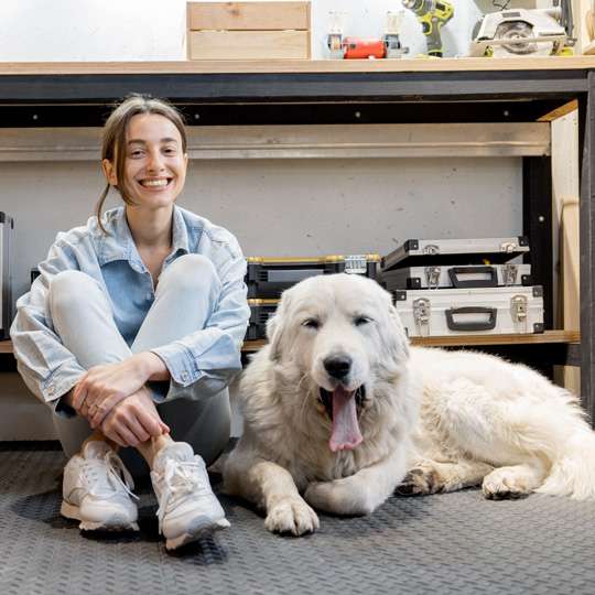 Un maître et son chien