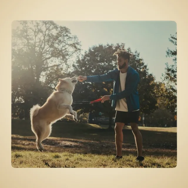 Tapis de souris personnalisé : Homme jouant au frisbee avec son chien dans un parc ensoleillé