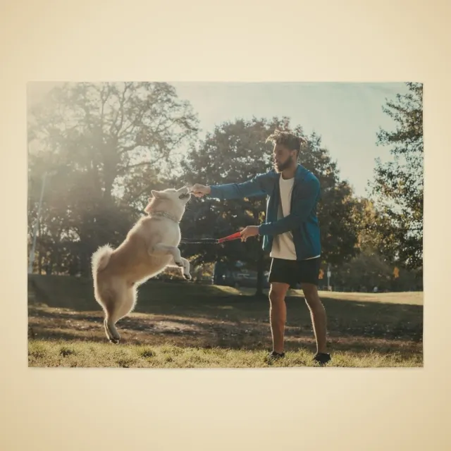 Tapisserie murale personnalisé : Homme jouant au frisbee avec son chien dans un parc ensoleillé